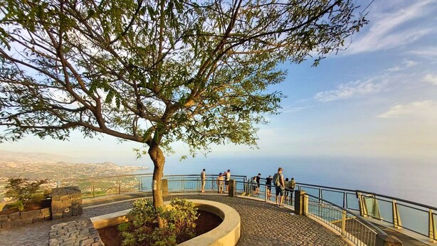 Un sentier pavé, bordé d’un arbre et d’une rambarde, offre une vue sur le paysage urbain de la côte.