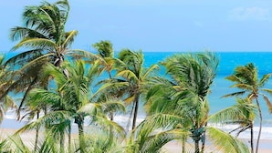 A beach with palm trees and a clear blue sky. - Waiwai Cumbuco pé na areia por Carpediem (Caucaia)
