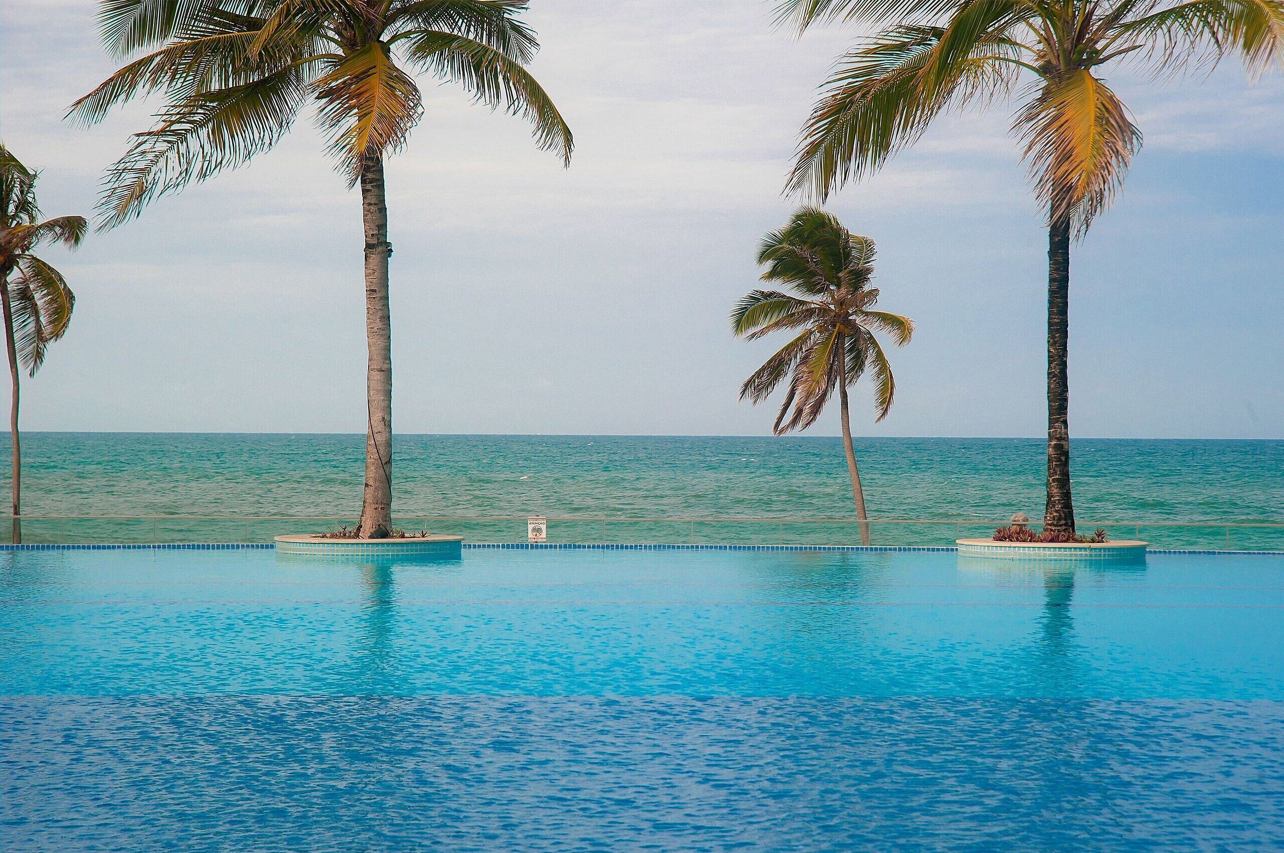 Deluxe Apartment | Pool