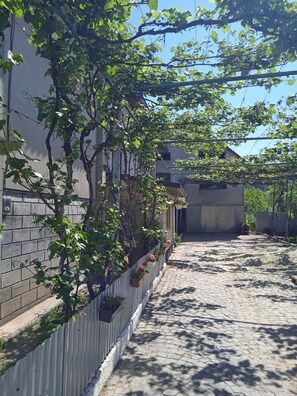 Property grounds - Village Life (Mukacheve)