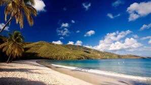 Een strand met palmbomen, helderblauw water en een glooiend landschap op de achtergrond.