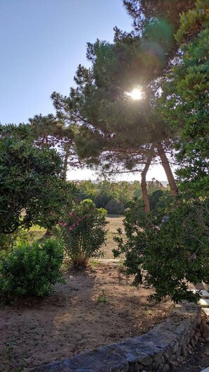 Property grounds - Lovely Groundfloor Terraced House (Arzachena)