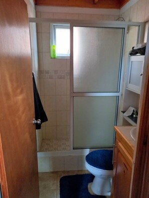 Een kleine badkamer met douche, toilet en wastafel.