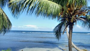 Blick auf einen Strand mit klarem Wasser, einer Palme und einem Holzsteg.