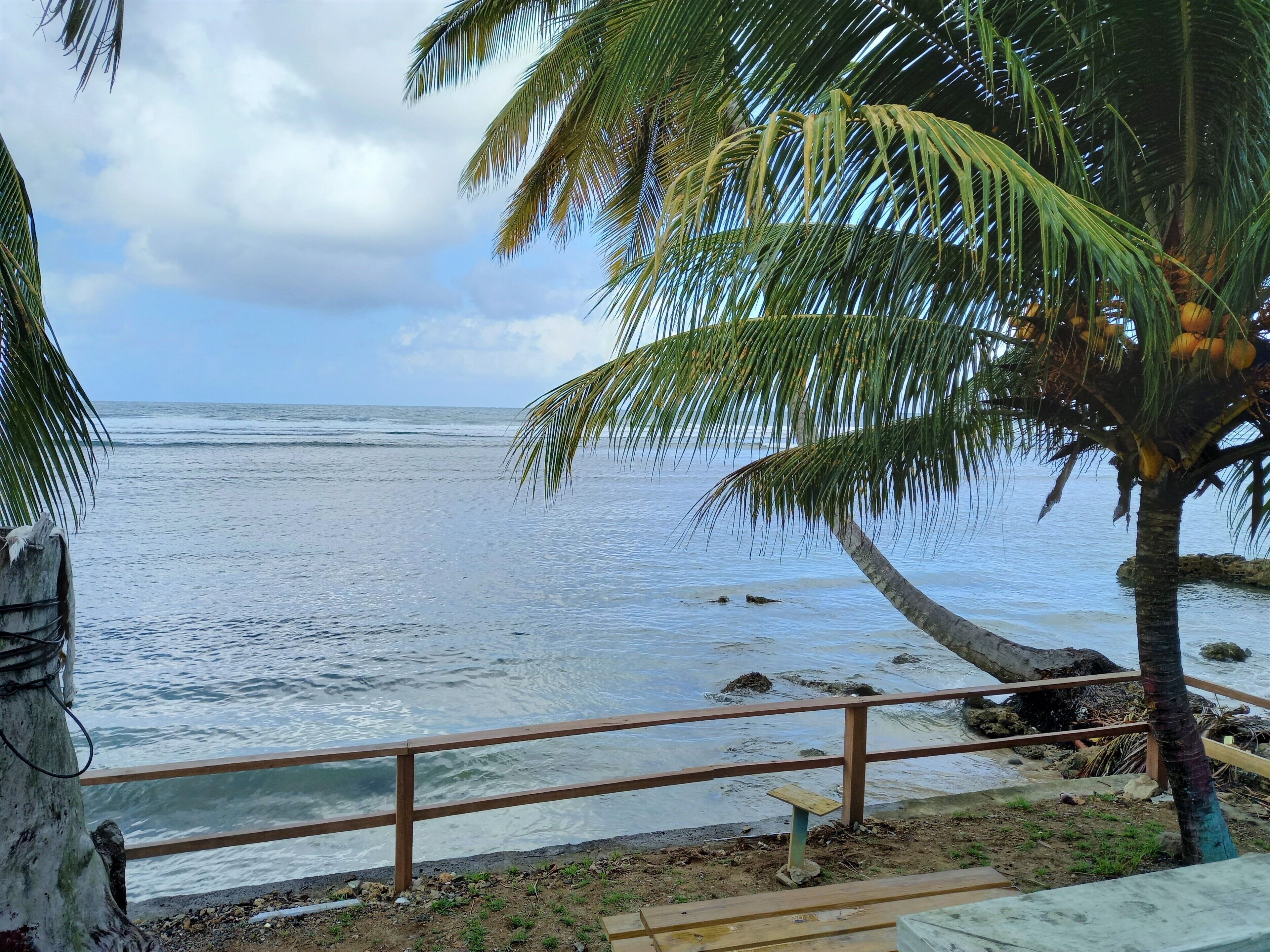 Cita's Cottage, idyllic, caribbean house right by the sea in Calibishie, Dominica