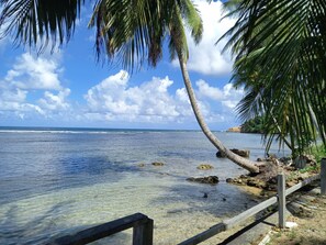Een helder tropisch strand met een houten looppad naar het water, palmbomen en een rotsachtige kustlijn.