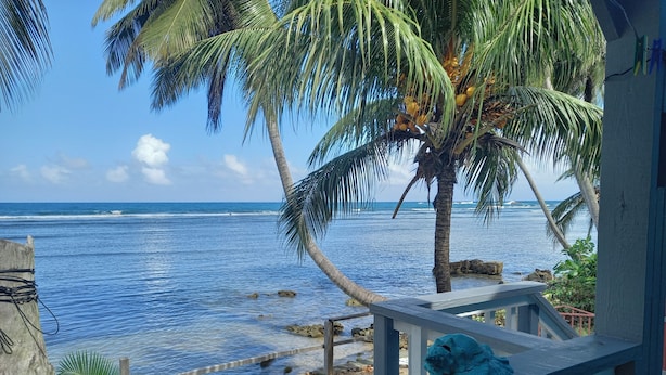 Eine Holzterrasse mit Geländer, die auf einen Strand mit Palmen und dem Ozean blickt.