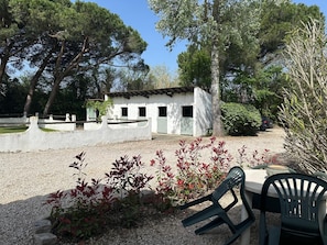 A rustic building with a gravel path, surrounded by trees and shrubs, and outdoor seating.