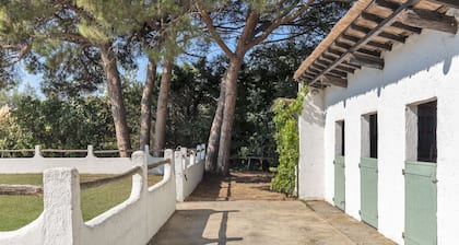 MAZET CAMARGUAIS