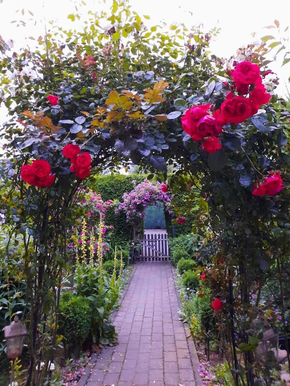 A garden pathway with a wooden gate, surrounded by lush greenery and flowering plants.