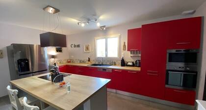 New villa 10pers 4Chs St Pée Basque Country garden