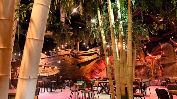 An indoor dining area with bamboo plants, tables, and chairs arranged for guests. - Hex Wildlife Hotel (Doncaster)