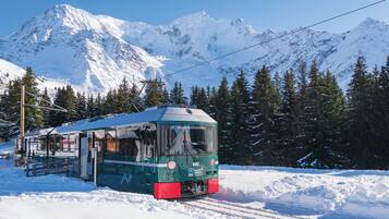 Un train vert et rouge circule sur une voie ferrée enneigée en montagne, avec en arrière-plan des sommets couverts de neige et des arbres à feuilles persistantes.