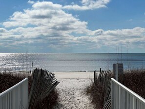 Un sendero bordeando la playa que lleva a la orilla, con vista despejada al océano.