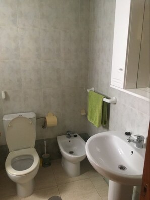 Shower, hair dryer, soap, toilet paper