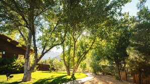 Un sentier bordé d’arbres et un bâtiment à l’extérieur en bois.