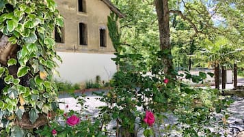 Detalle exterior
