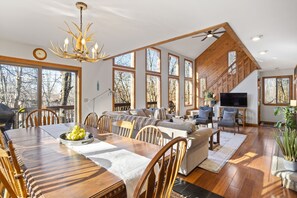 Smart-TV, Kamin, DVD-Player, Bücher