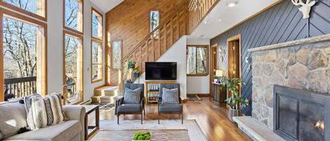 Smart TV, fireplace, DVD player, books