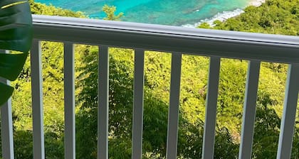 NEWLY RENOVATED Private Beach Views, Luxury Villa Milagro - Villa 4