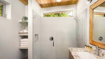 Shower, hair dryer, towels, shampoo