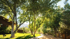 Un sentier bordé d’arbres mène à un bâtiment à l’extérieur en bois.