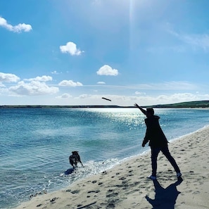 Cena de praia com uma pessoa, um cão e um frisbee no ar, sob um céu limpo.