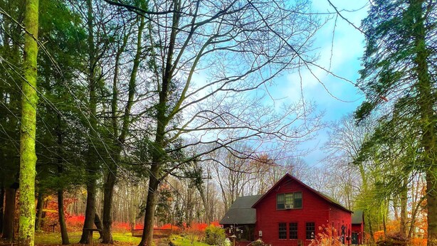Una cabaña roja rodeada de un bosque con un arroyo que lo atraviesa.