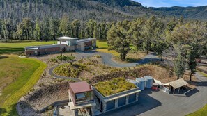 Un bâtiment moderne doté d’un toit végétalisé, entouré d’un jardin aménagé et d’une zone boisée.