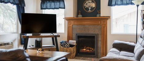 Smart TV, fireplace, books