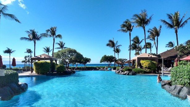 Une grande piscine extérieure à l’eau d’un bleu limpide, entourée de palmiers et de chaises longues.