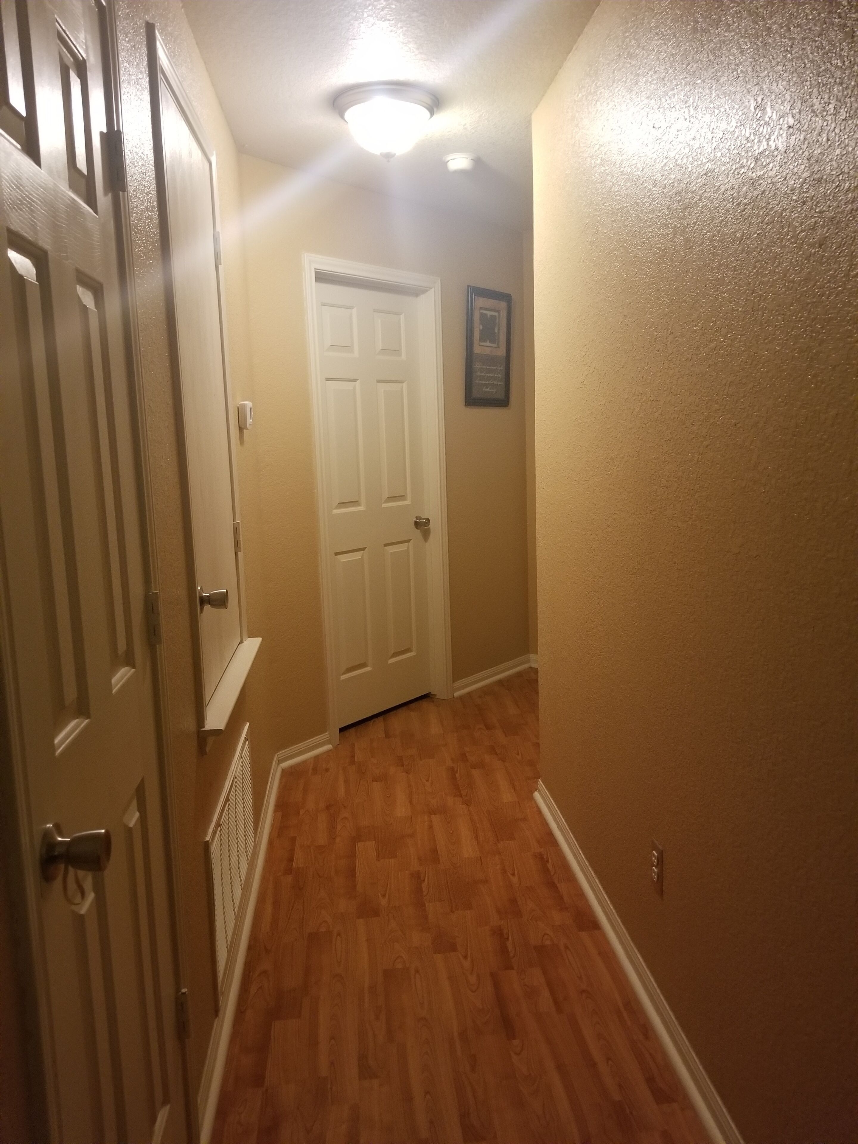 Un couloir doté d’un plancher en bois, d’une porte blanche et d’un luminaire au plafond.