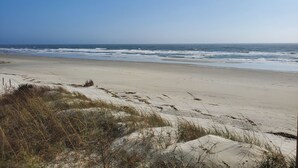 Una spiaggia con dune sabbiose e vegetazione rada.