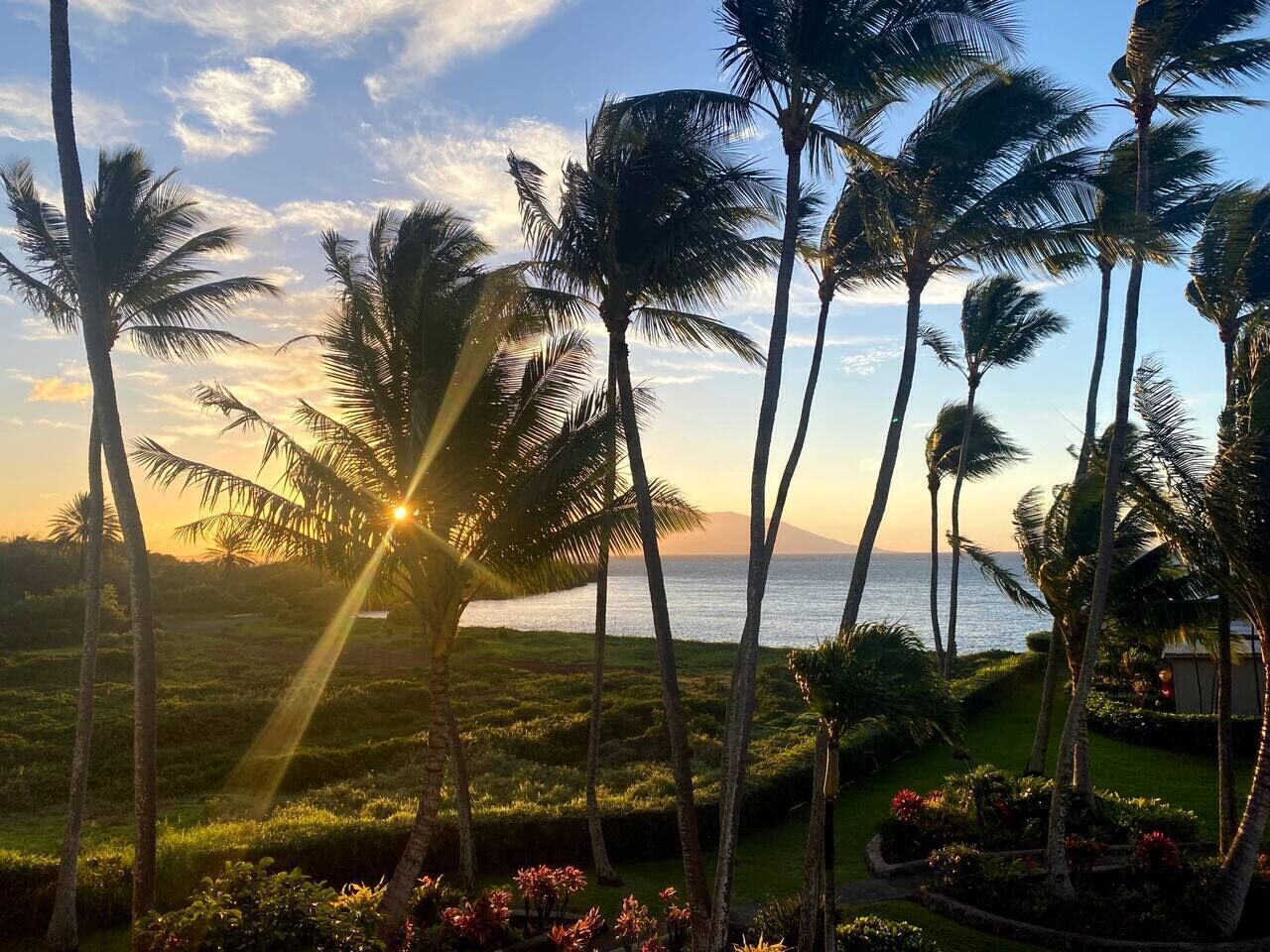 A tropical landscape with palm trees and a view of the ocean at sunset.