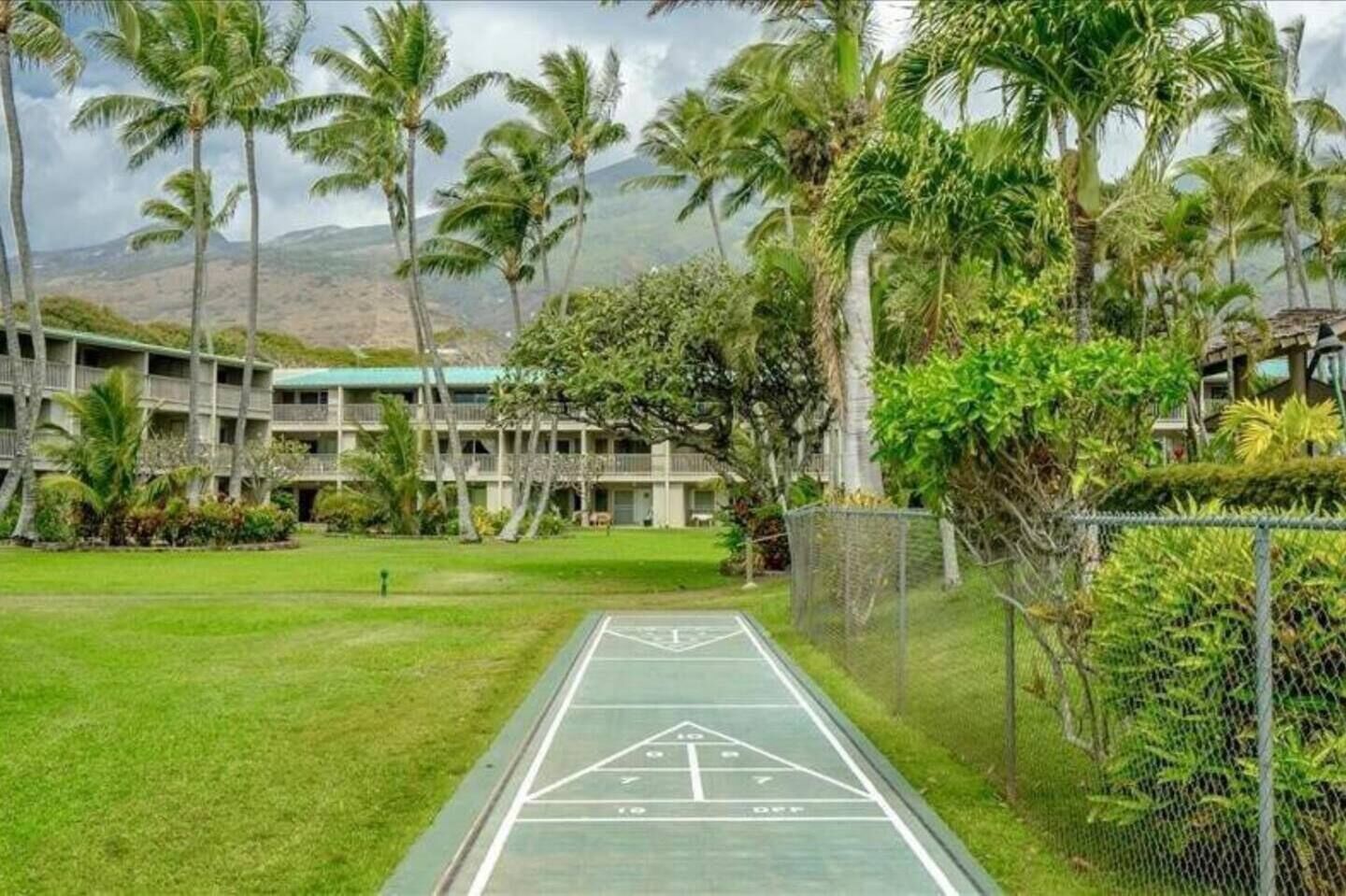 Una cancha de juego de hojalata rodeada de exuberante follaje y palmeras, con un edificio al fondo.