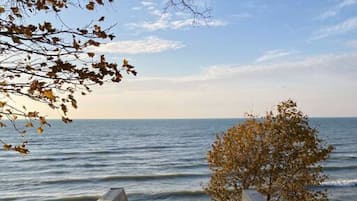 Vlak bij het strand