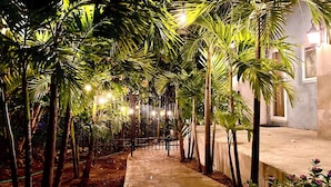 A pathway flanked by palm trees and a fence, leading to a building with a light fixture.