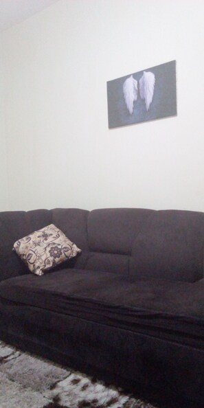 Smart-tv, ett musikbibliotek och en stereo