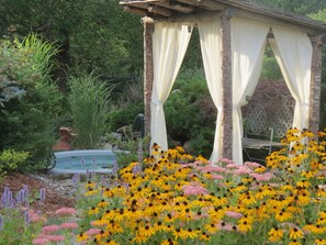 Terrein van de accommodatie