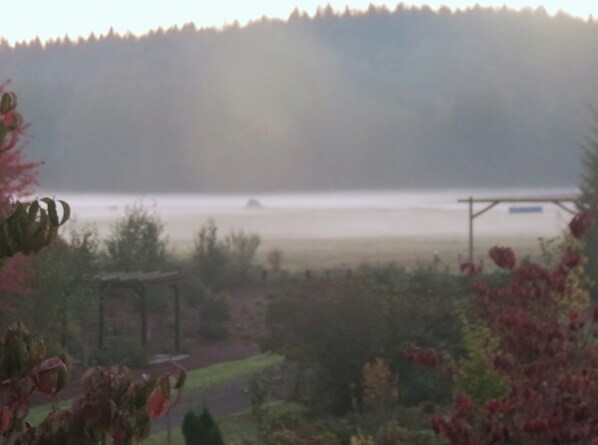 A misty landscape with a gazebo, a water body, and a forested hill.