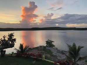 Enjoy serene lakeside views and peaceful moments on a bench or by the fire pit, surrounded by lush greenery and beautiful flowers.