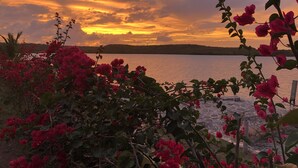 Een zonsondergang met uitzicht op een waterpartij en bloeiende roze bloemen op de voorgrond.