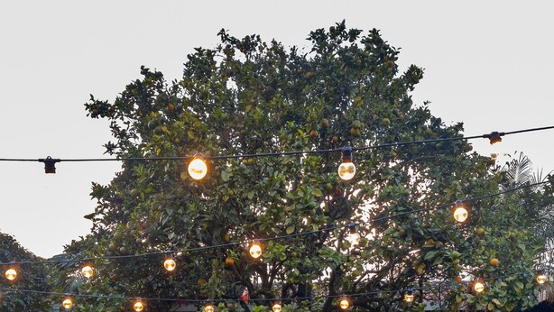 Un espace extérieur aménagé avec des tables et des chaises, entouré d’un arbre et illuminé de guirlandes lumineuses.