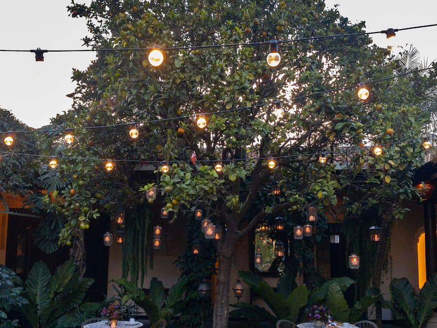 Superior Room | Terrace/patio