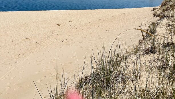 A beach with a clear sky, a sandy shore, and a calm body of water.
