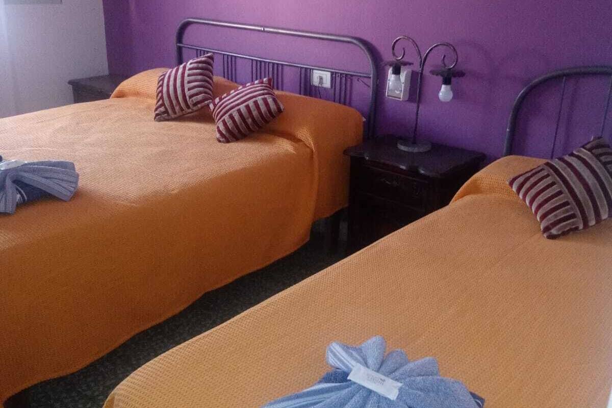 Two single beds with orange bedding, a purple wall, and a small bedside table with a lamp.