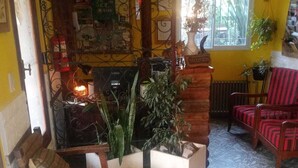 A cozy living room with a fireplace, wooden furniture, and potted plants. - Bambi (La Falda)