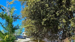 A small house with a porch, a dining table, and a picnic table in the yard. -  Spacious- 11 min to Yosemite toll- 13 guests- 7+ beds, pet- game room- 2000 Ft (Oakhurst)
