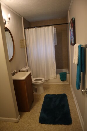 Combined shower/bathtub