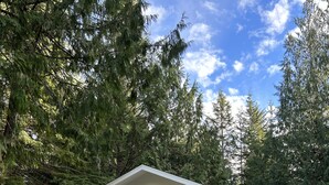 A small, single-story cabin with a stone-paved entrance, surrounded by dense forest. - Remodeled Studio Cottage! Walk to Lake and Hiking Trails (Fall City)